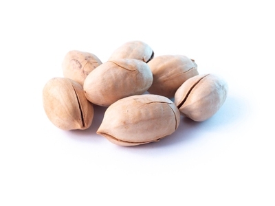 Пекан в скорлупе